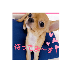 ichimama_20190909181526