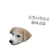 dog and cat and meron stamp