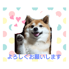 hanamama_20190909212305