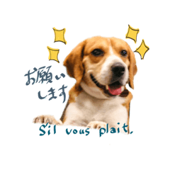 來福狗狗