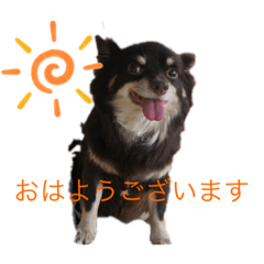 matsu_20190909235106