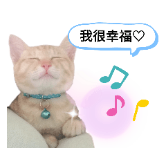 棠娜的幻想世界ฅ'ω'ฅ