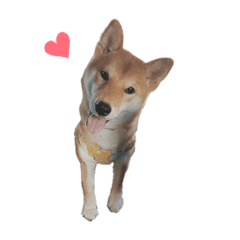 my lovely dog!!! – LINE stickers | LINE STORE