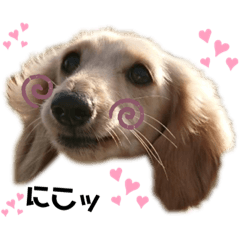 sally_20190910163258