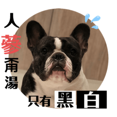 就愛法鬥三波