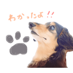 milky_20190910163616