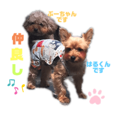 moco_20190910163710
