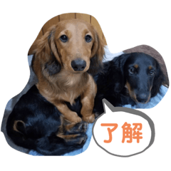 yuuki_20190910181907