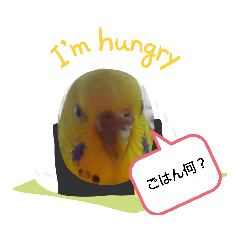 kinako_20190910145758