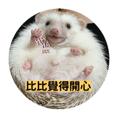 Cindy_20190910234344