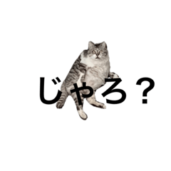 chiro_20190910224834