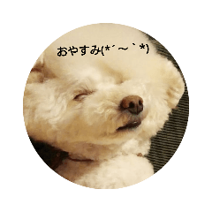 suzu_20190910212233