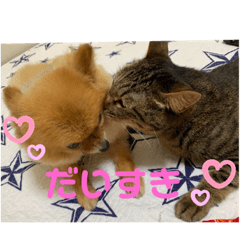 chan_20190910232829