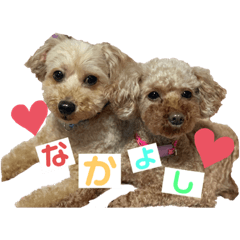 OMAME_20190911015927