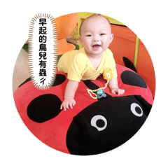 林翔豪寶寶