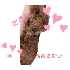 rii_20190911045937