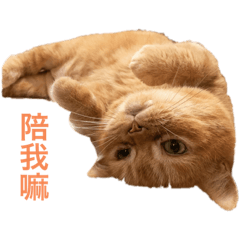 噗馬出乃玩1