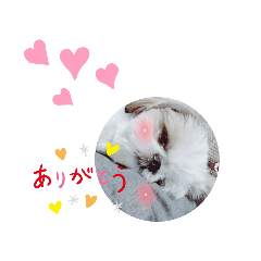 mimi_20190911130509
