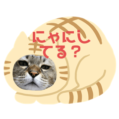 belinda_20190911141945