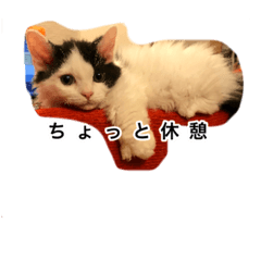 erika_20190911153205