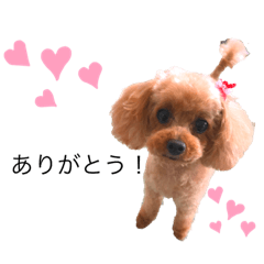 erika_20190911174926