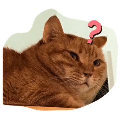 Hiyori_20190911182619