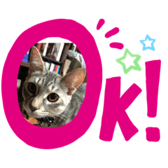 mizuki_20190911195553