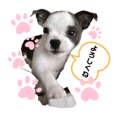 tommy_20190911204053