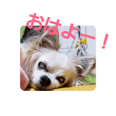 chiro_20190911213641