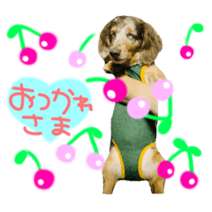 チョコちゃん Line スタンプ Line Store