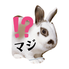 yayoi_20190911223938