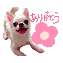chi_20190912004222