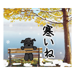 olive_20190912074351