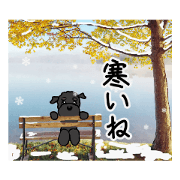 olive_20190912074351