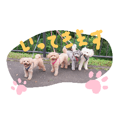 Ikumi_20190912100427