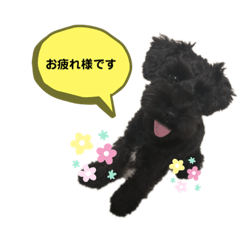 KOA_20190912100940
