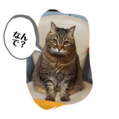 belinda_20190912115402