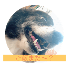 hayato_20190912114725