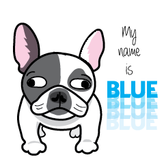 Blue the dog