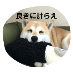 ASUKA_20190912151745