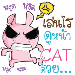 CAT Rabbit naughty cute e