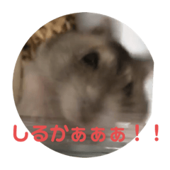 chiharu_20190912173052