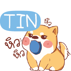 TIN Shiba naughty dog e