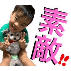 kinako_20190912213314