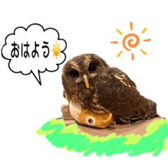 ふくろうファイターズby格闘梟III