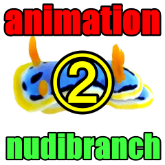 nudibranch(sea slug) animation2