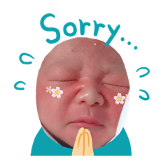 Bee_20190912190138