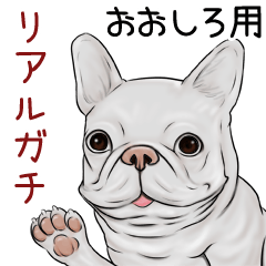 Ooshiro Real Gachi Pug & Bulldog