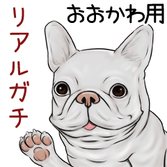 Ookawa Real Gachi Pug & Bulldog