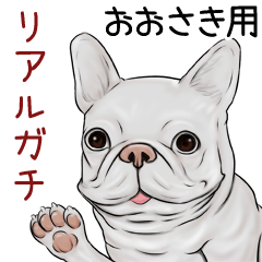 Oosaki Real Gachi Pug & Bulldog
